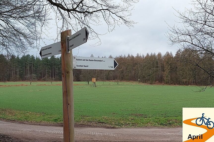 Herzogsweg Herzogsweg