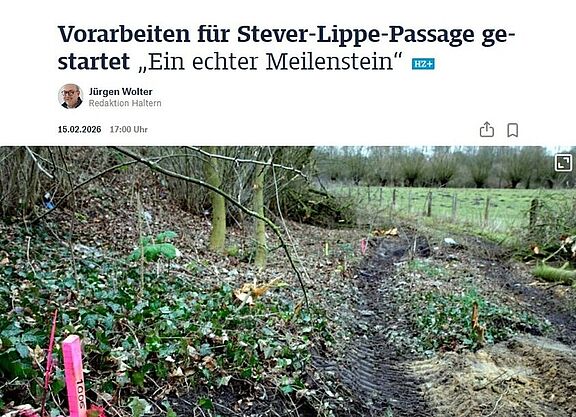 Meilenstein