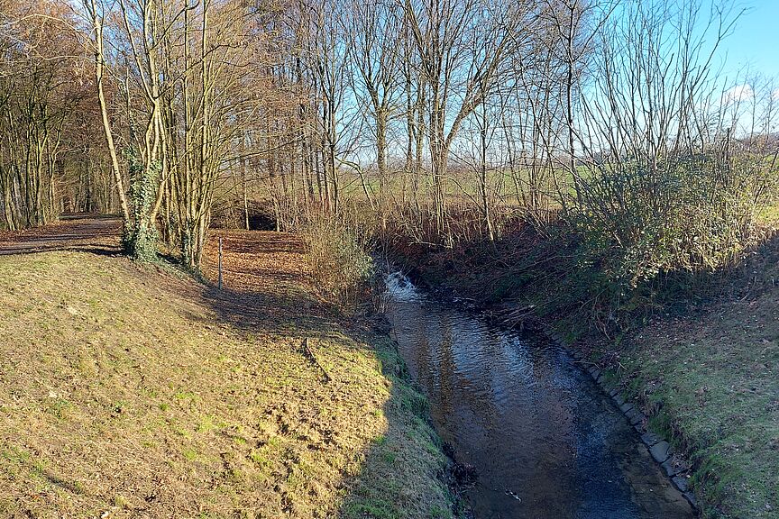 Unterwegs in der Natur Am Bach unterwegs